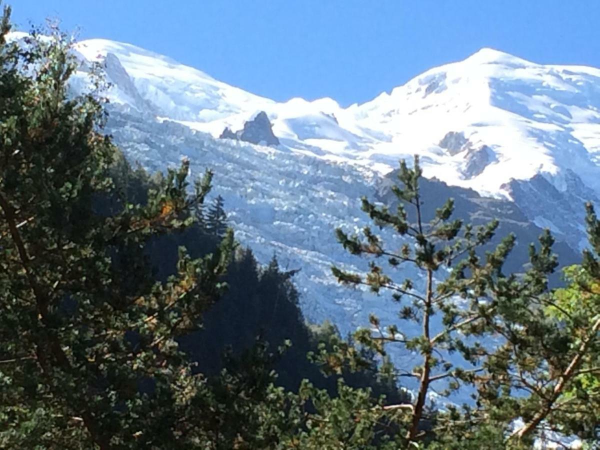 Chalet Des Petits Loups Villa Chamonix Luaran gambar